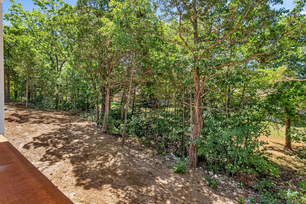 This image captures a tranquil green space with tall trees, lush undergrowth, and a gently textured forest floor, evoking a sense of peaceful exploration. The open area is perfect for leisurely walks and enjoying nature, making it dog-friendly and inviting for both people and pets.